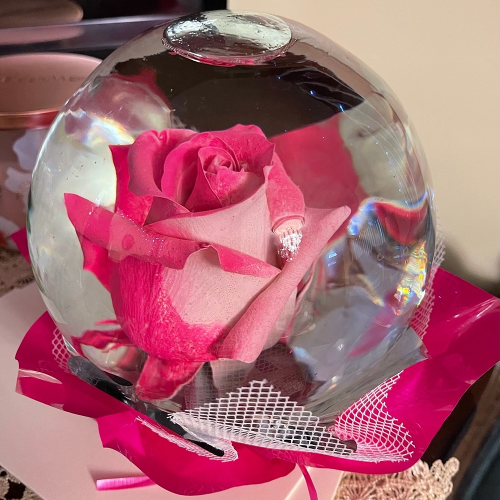 Authentic Rose Globe